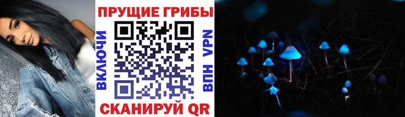 Галлюциногенные грибы мицелий  Ермолино 